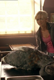 SClub7Org-00034.jpg