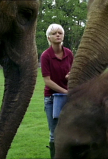 SClub7Org-00128.jpg