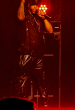 brad_pat220789-1.jpg
