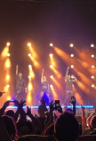 IMG_3847.JPEG