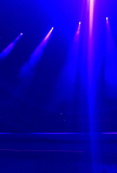 IMG_3915.JPEG