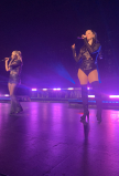 IMG_4009.JPEG