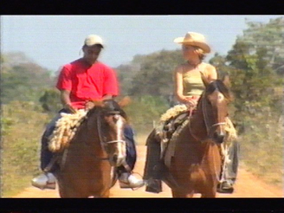 043.jpg
